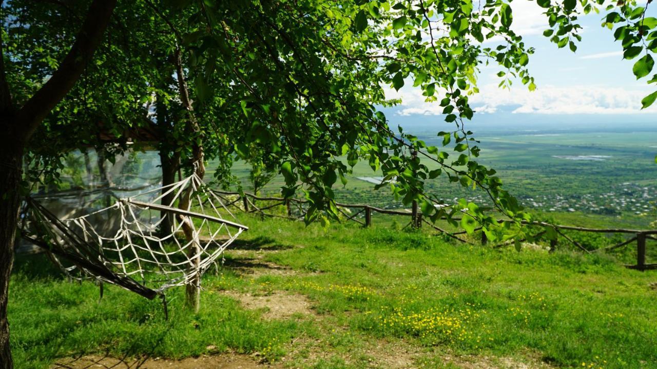 Tsanava'S Cottage In ซิคนาคี ภายนอก รูปภาพ