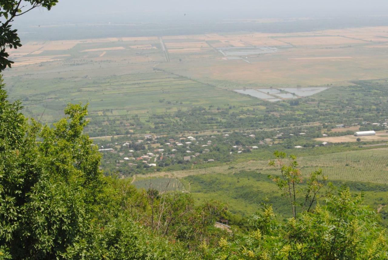 Tsanava'S Cottage In ซิคนาคี ภายนอก รูปภาพ