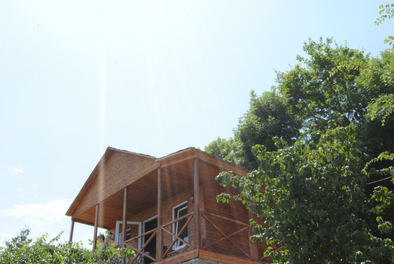 Tsanava'S Cottage In ซิคนาคี ภายนอก รูปภาพ